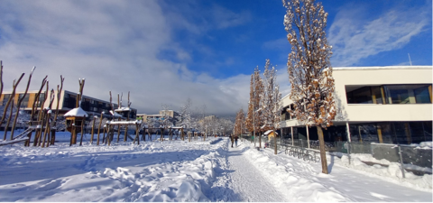 verschneite Gebäude und Straße 