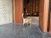 Auch Campuskatze Coco zeigte Interesse  :)