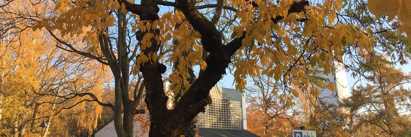 Blick auf die Kirche "Zur Heimat"